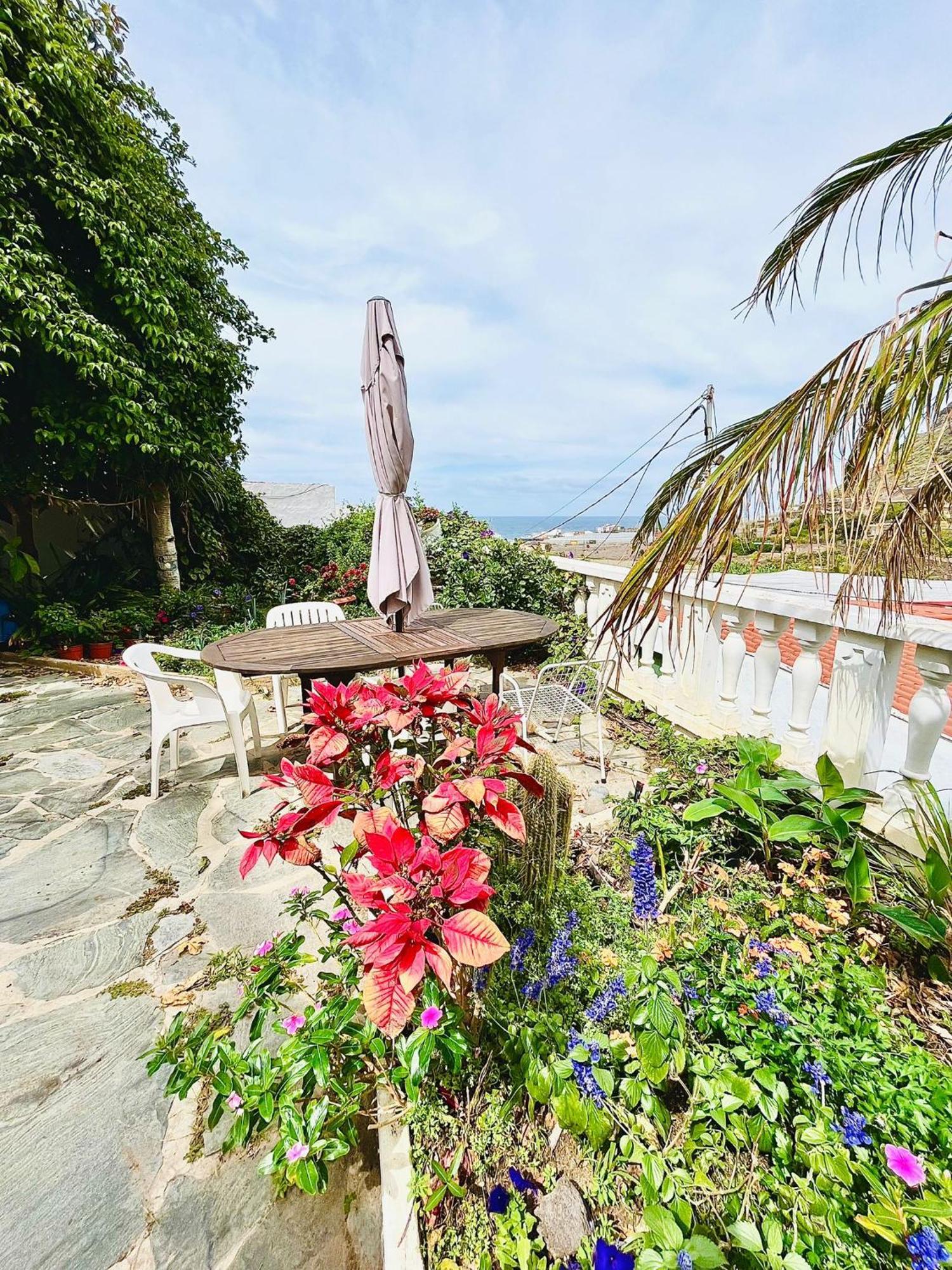Apartamento En Alquiler Santa Maria de Guia de Gran Canaria Zewnętrze zdjęcie